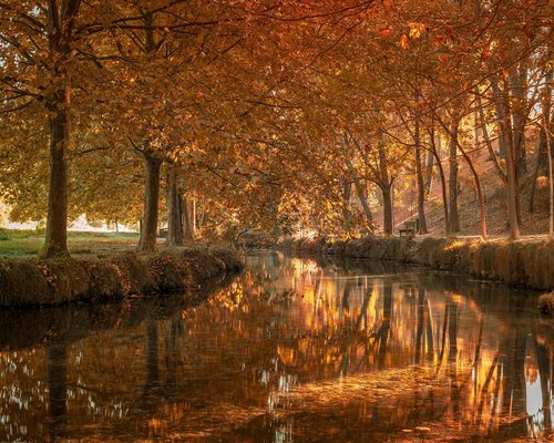 Persona ajustando la luz de su espacio de trabajo y organizando su tiempo